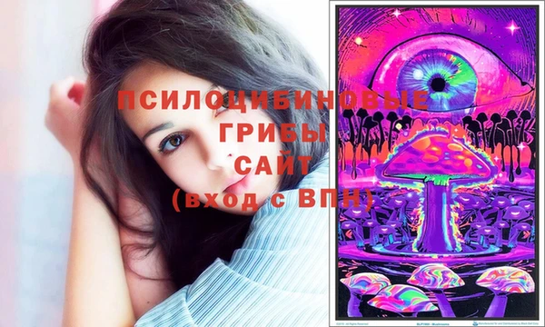 индика Алексин